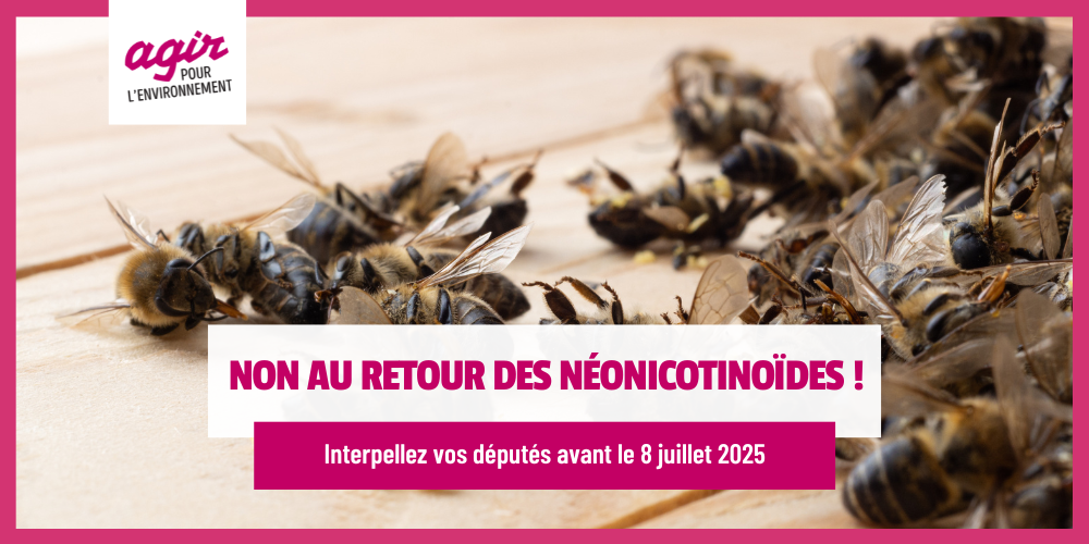 Non au retour des néonicotinoïdes