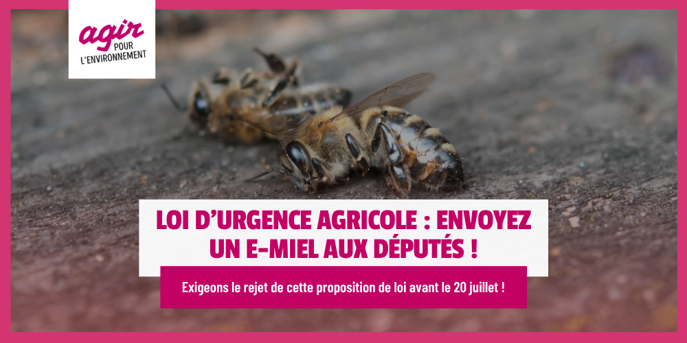 Non au retour des néonicotinoïdes